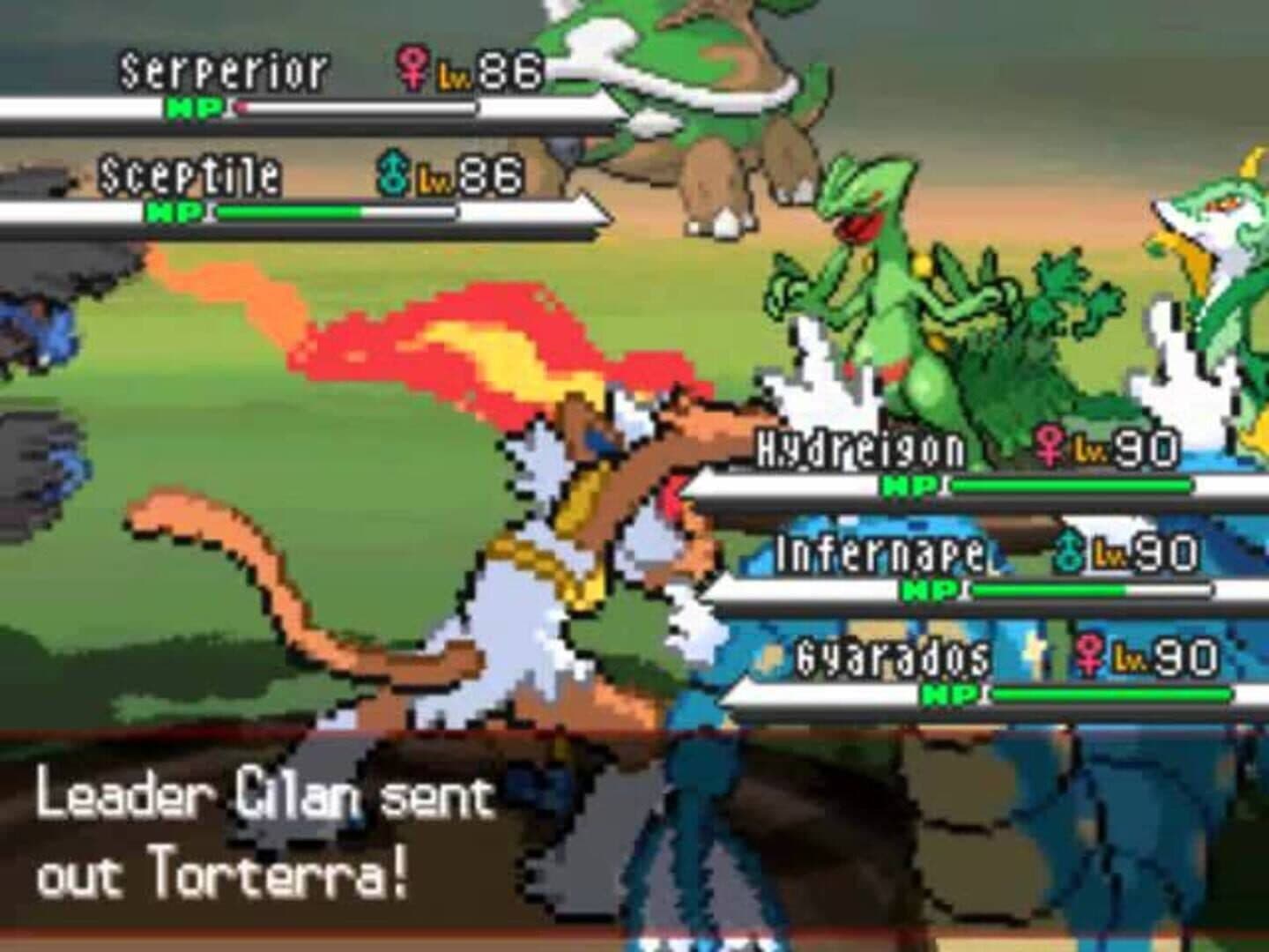 Pokémon Blaze Black